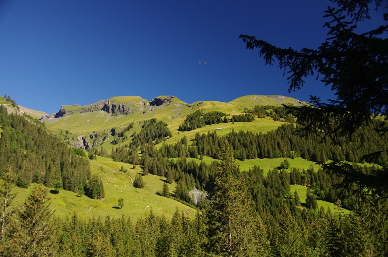 24h Hike Mammut_Ochsner 'Meiringen_Grosse Scheidegg 1962m' 18_08_2012 (66).JPG